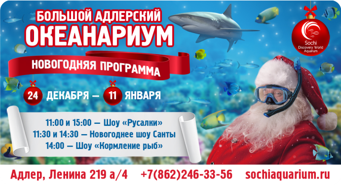 Новогодняя шоу-программа