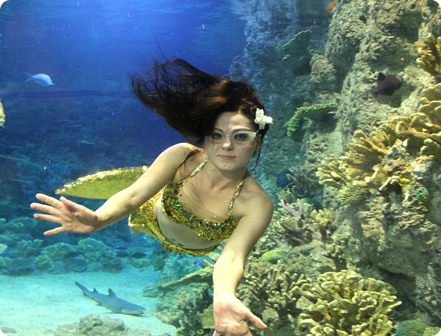 Подводная сказка с участием русалок