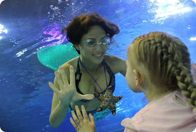 Подводная сказка с участием русалок