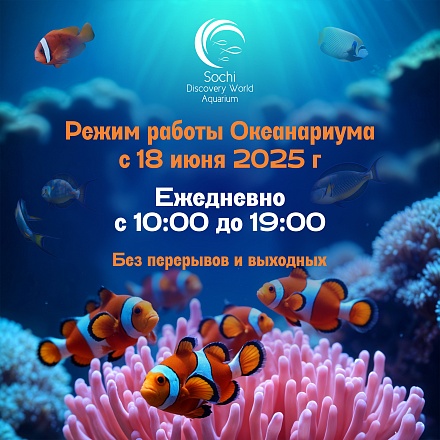 График работы с 18 июня