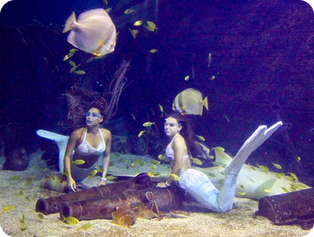 Подводная сказка с участием русалок