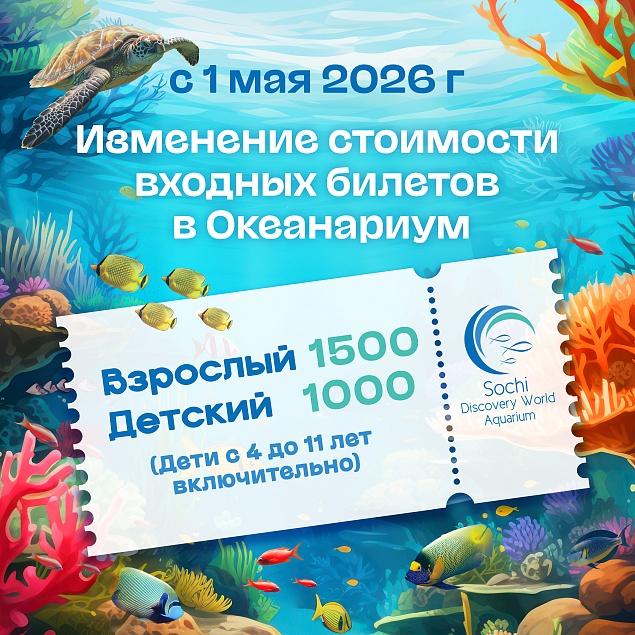 Изменение стоимости билета с 1 мая