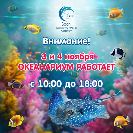 Изменение режима работы 3,4 ноября